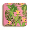 Birds of Paradise Coaster